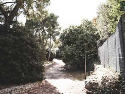 Passeggiando tra tortuosi vialetti ci portiamo ora sul lato nord del parco, non prima per� di aver ammirato la folta vegetazione presente all�interno dell�area